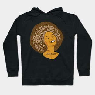 Black Woman Afro African American History Hoodie